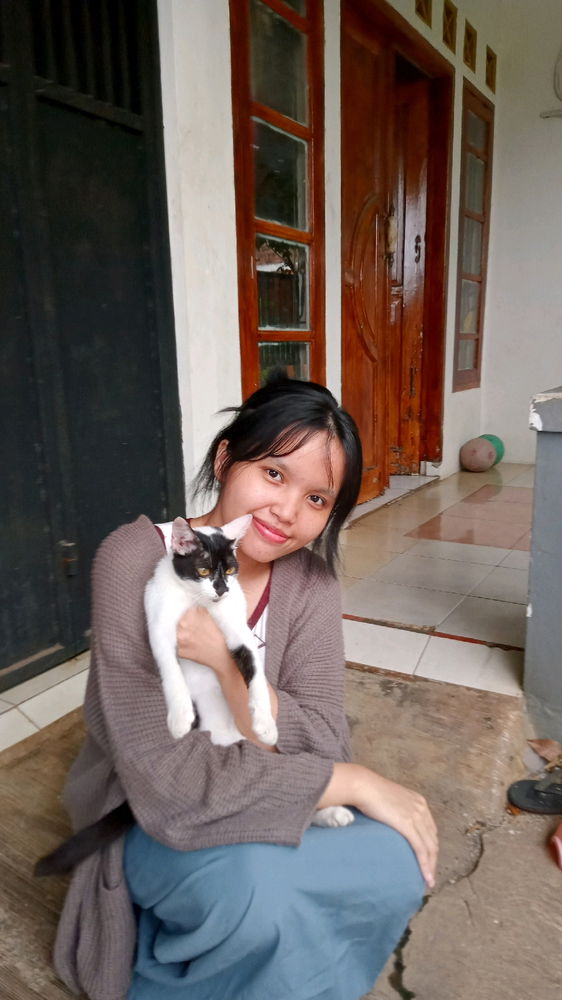 My cat