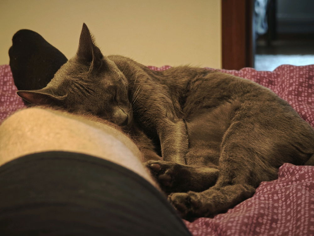 Láska ♥️