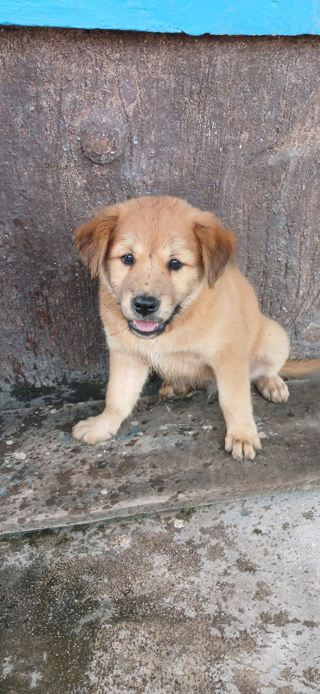 🐶🐕🥰🥰