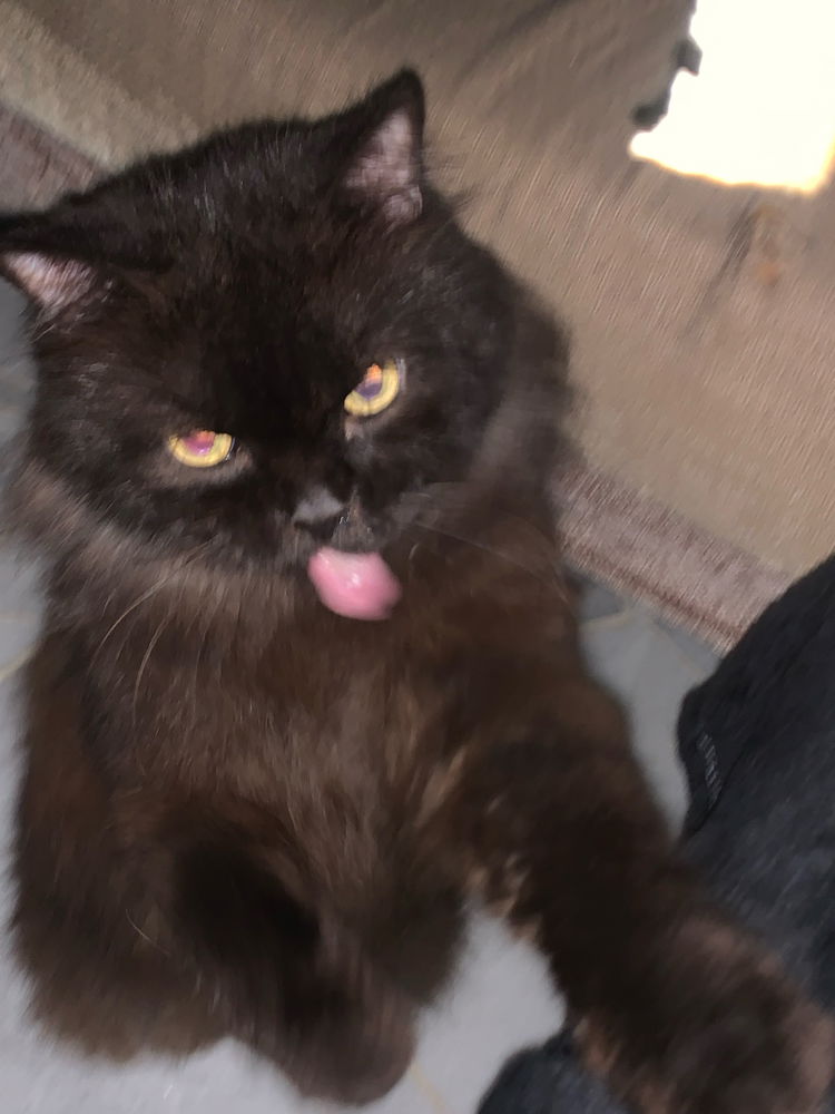 Spoooky😼