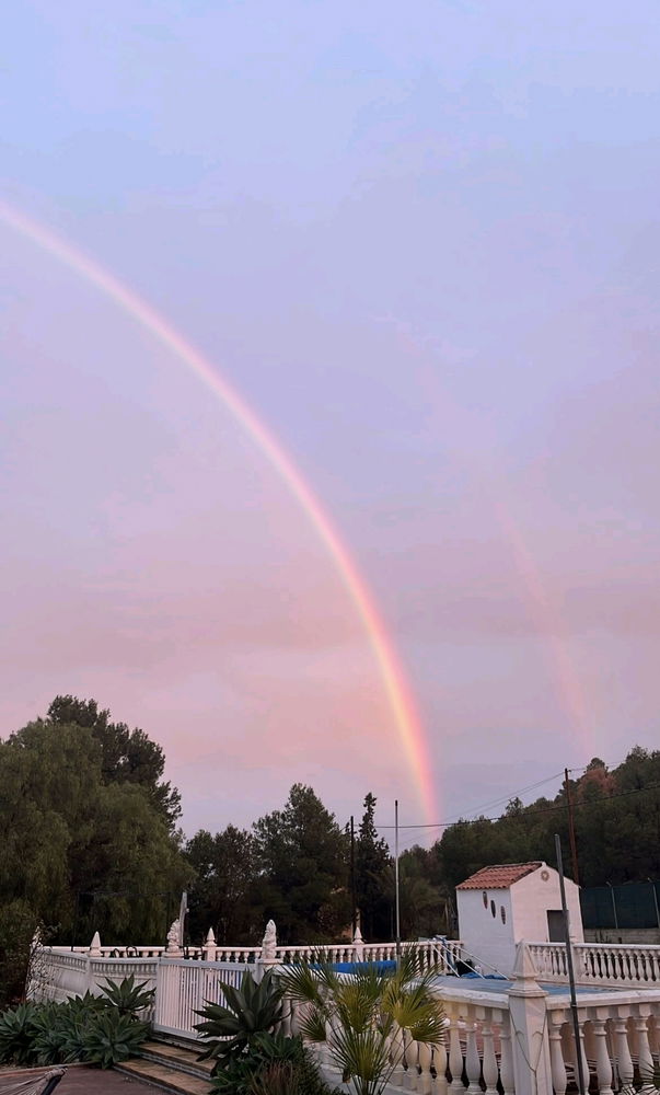 Después de la tormenta de verano que tuvimos, esto apareció en el cielo 🌈