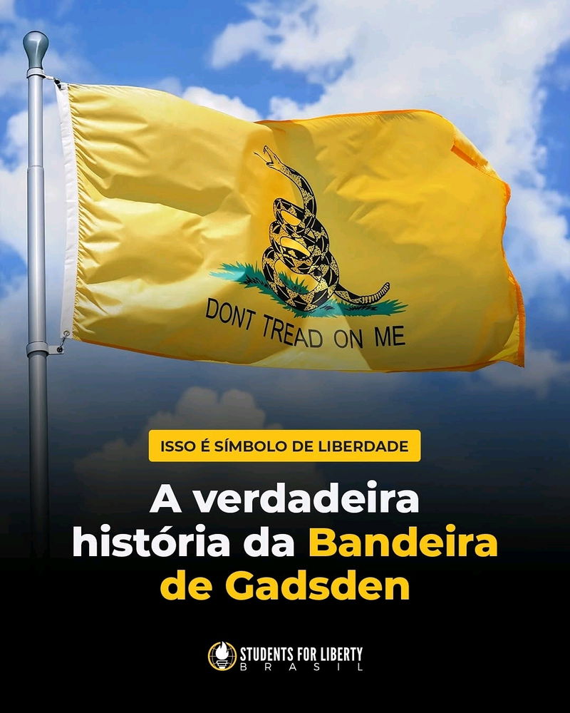 Libertarianismo 🧠🗽