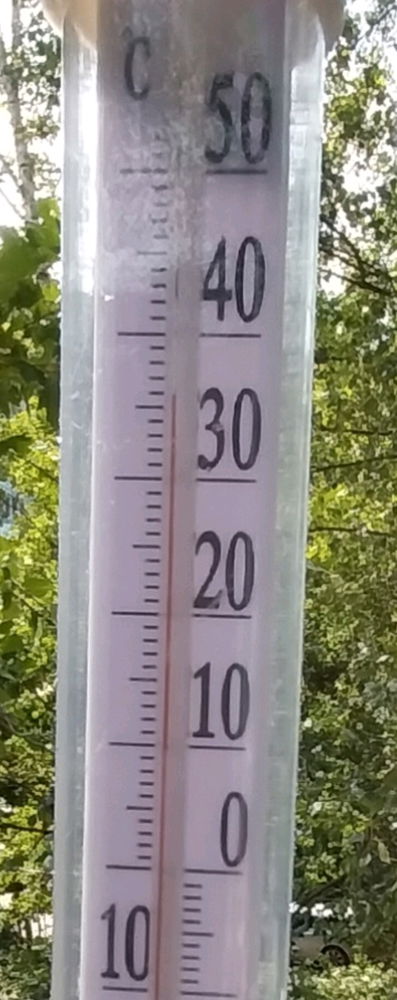 Июльский вайб😊☀️🌺🐌🍓