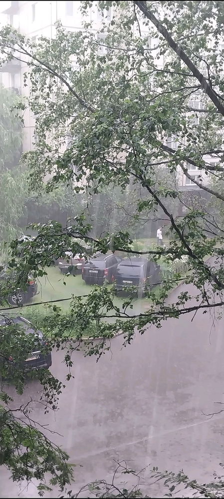 Июльский вайб😊☀️🌺🐌🍓