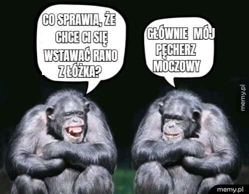 🐵