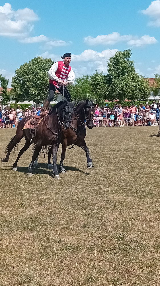 Petite sortie du samedi