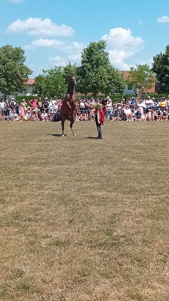 Petite sortie du samedi