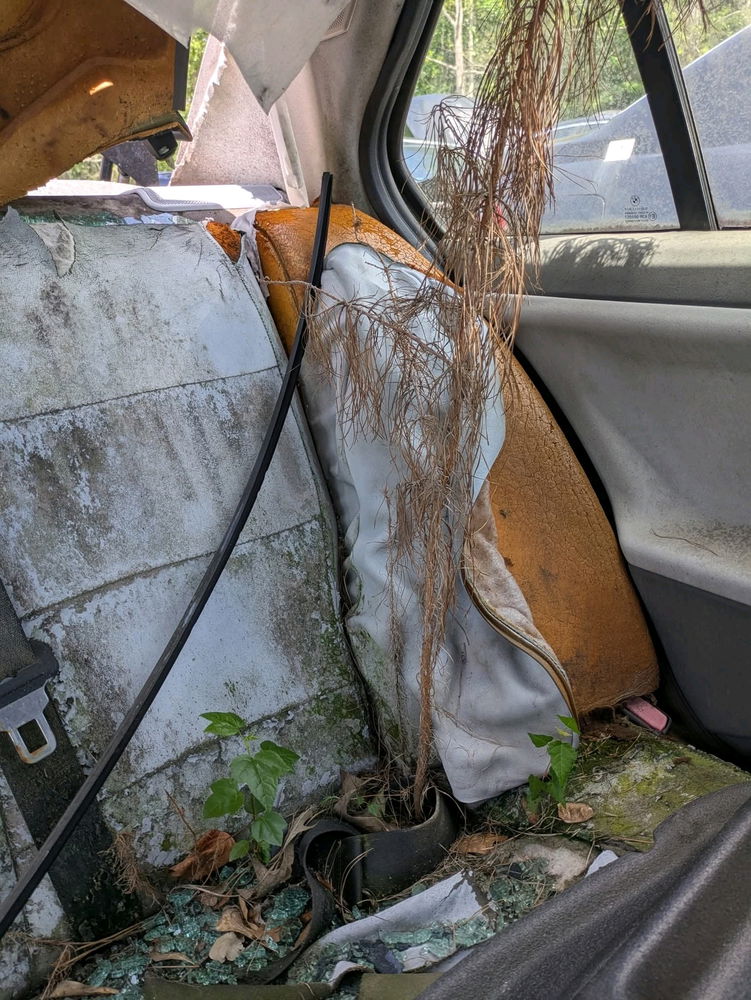 Junkyard find