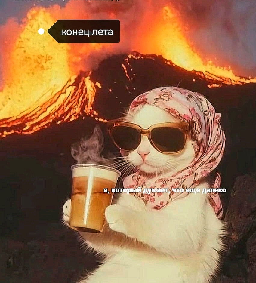 Завтра выходной и.... Штормовое предупреждение 😩😫