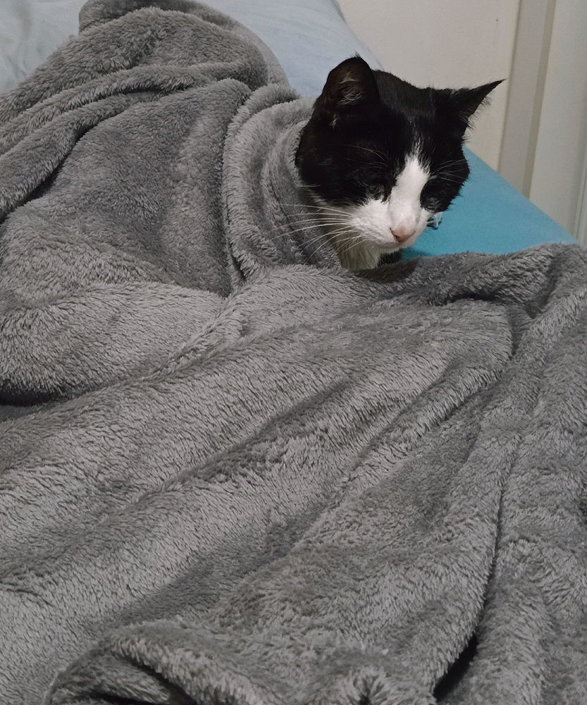 Te Amo meu velinho.