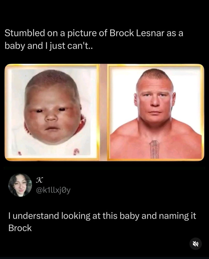 😆🤣😆