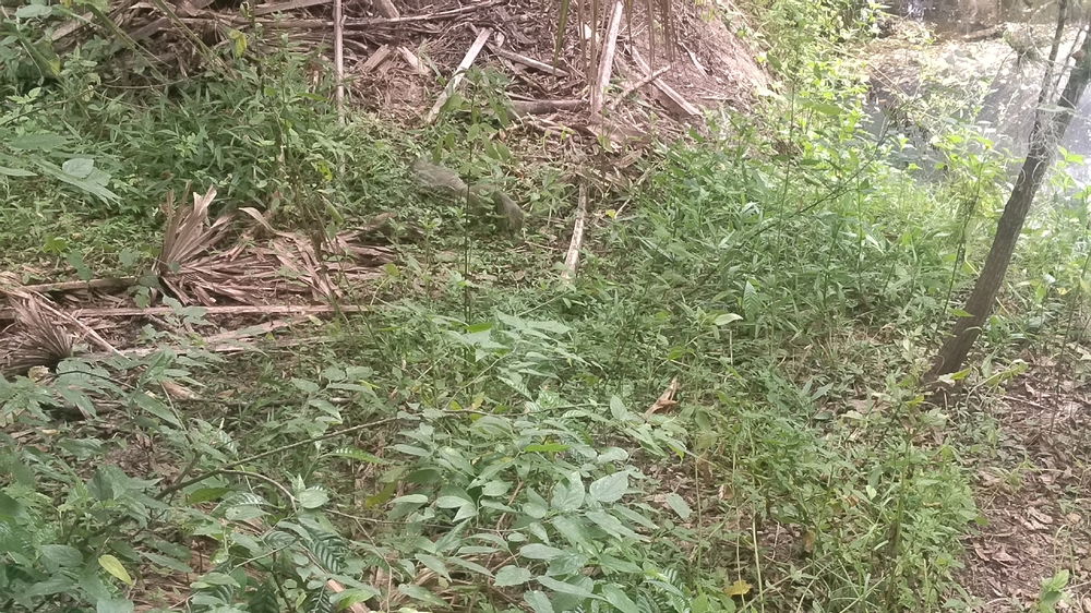 The trails the bring peace