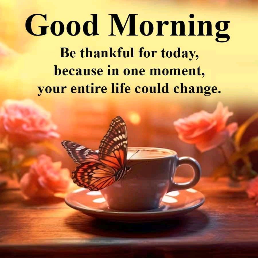 Goodmorning
