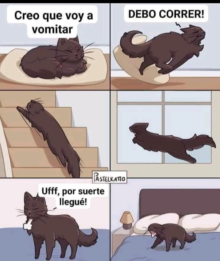 🤣🤣🤣