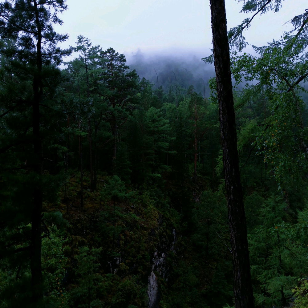 The photos turned out to be truly cinematic.