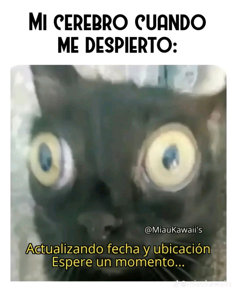 Cuando me despierto
