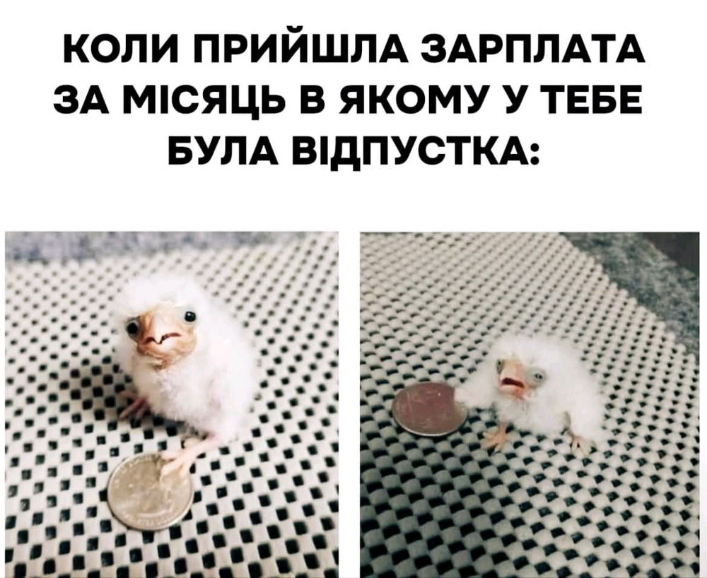 У мене лікарняні за місяць 🥲