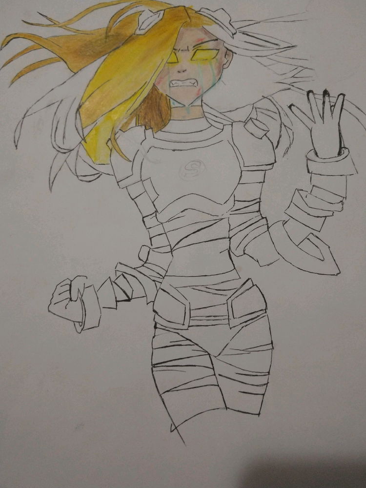 Projeto Terra