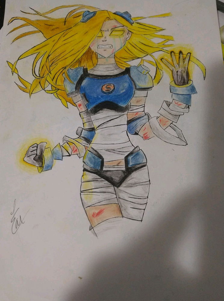 Projeto Terra