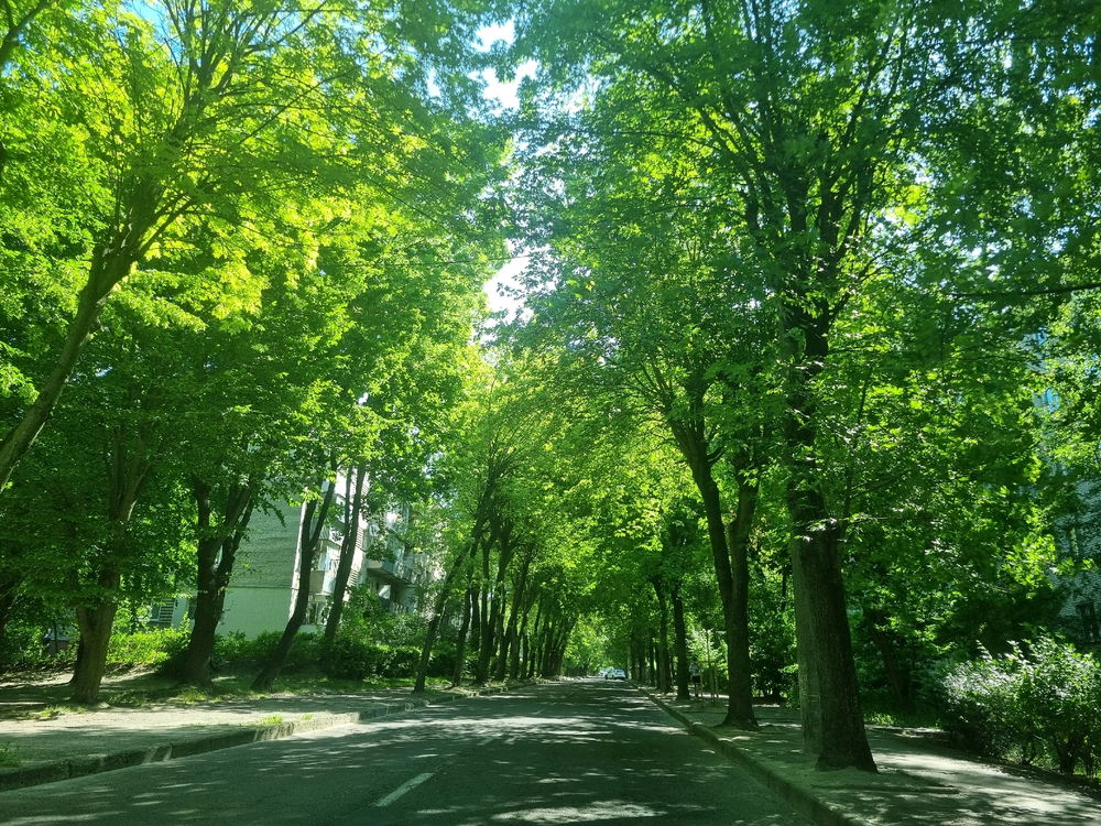 Афірмації