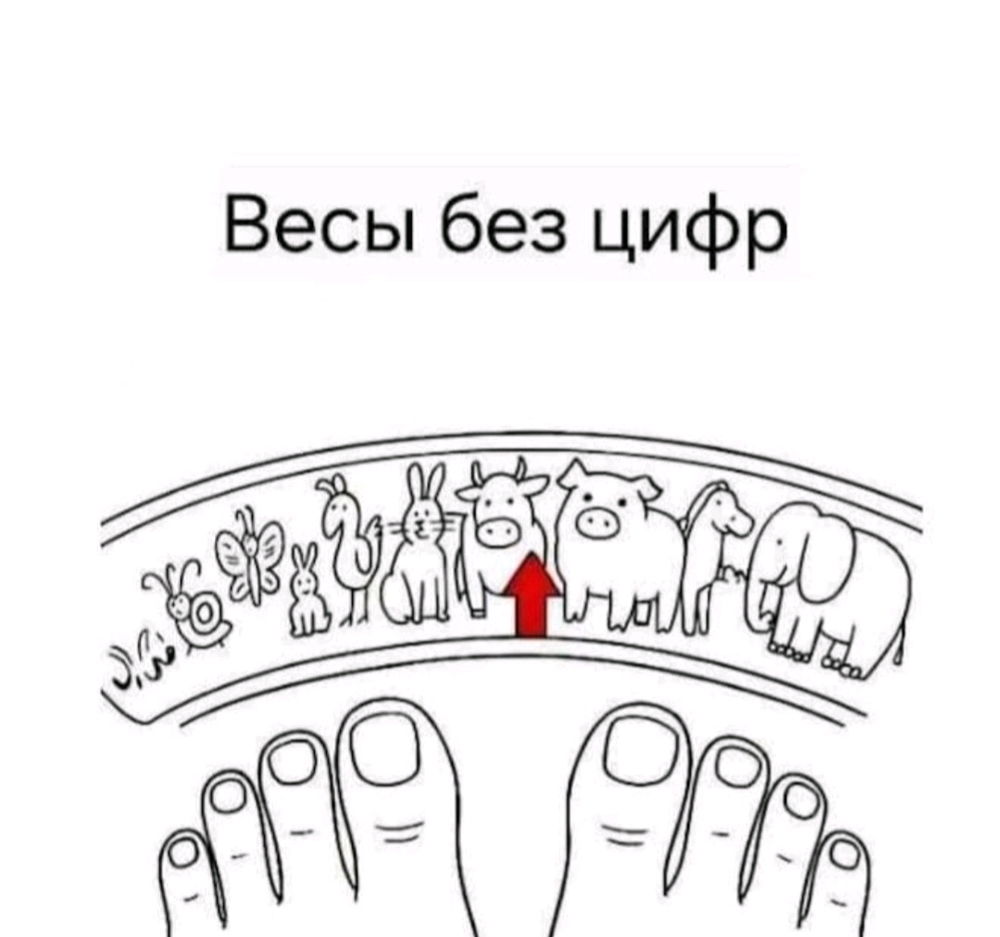 Мотивирующие 😁