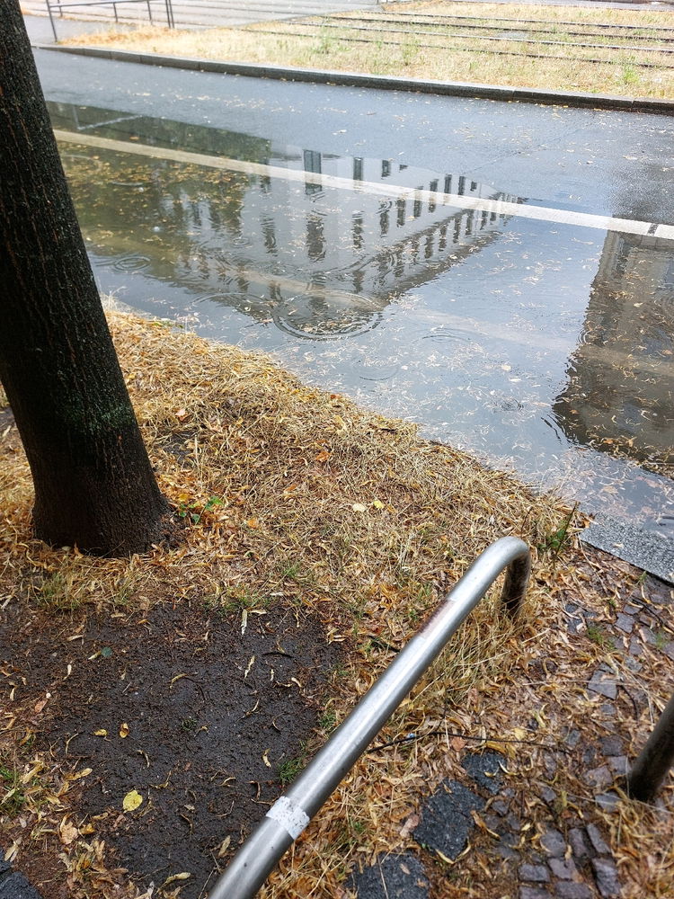 Regen