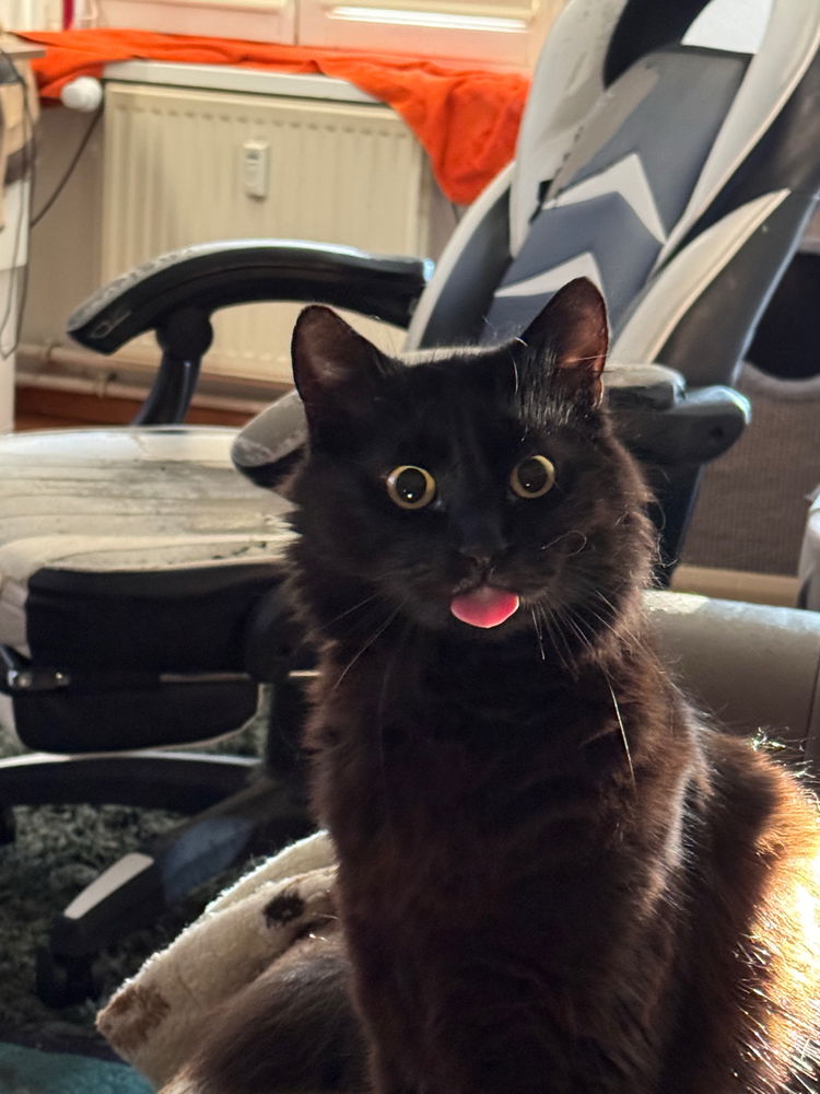 Big Blep