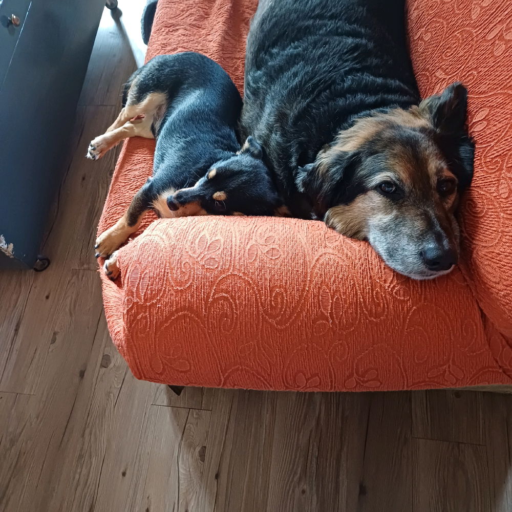 I Miei figli