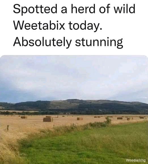 Lol