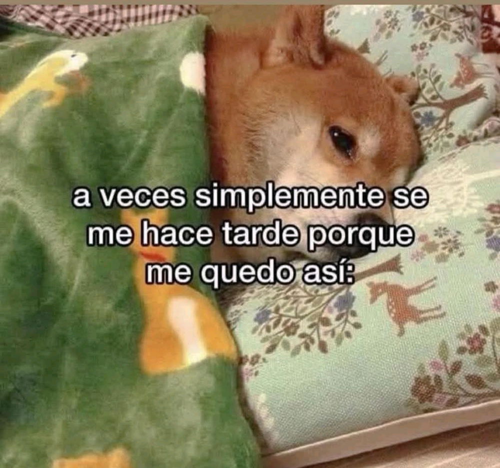 Y ustedes?