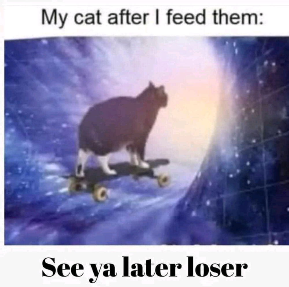 😂😂😂