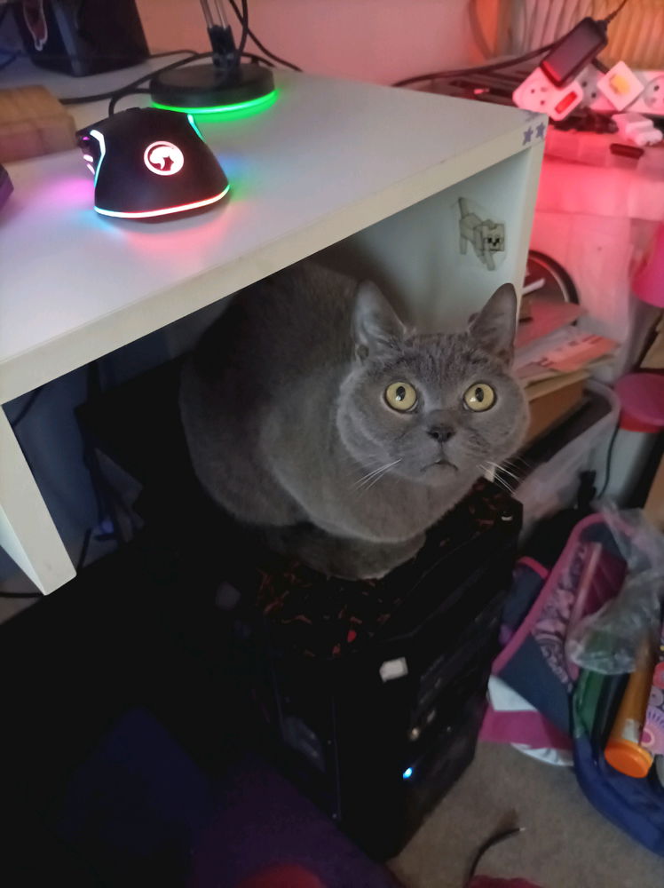 Sofina