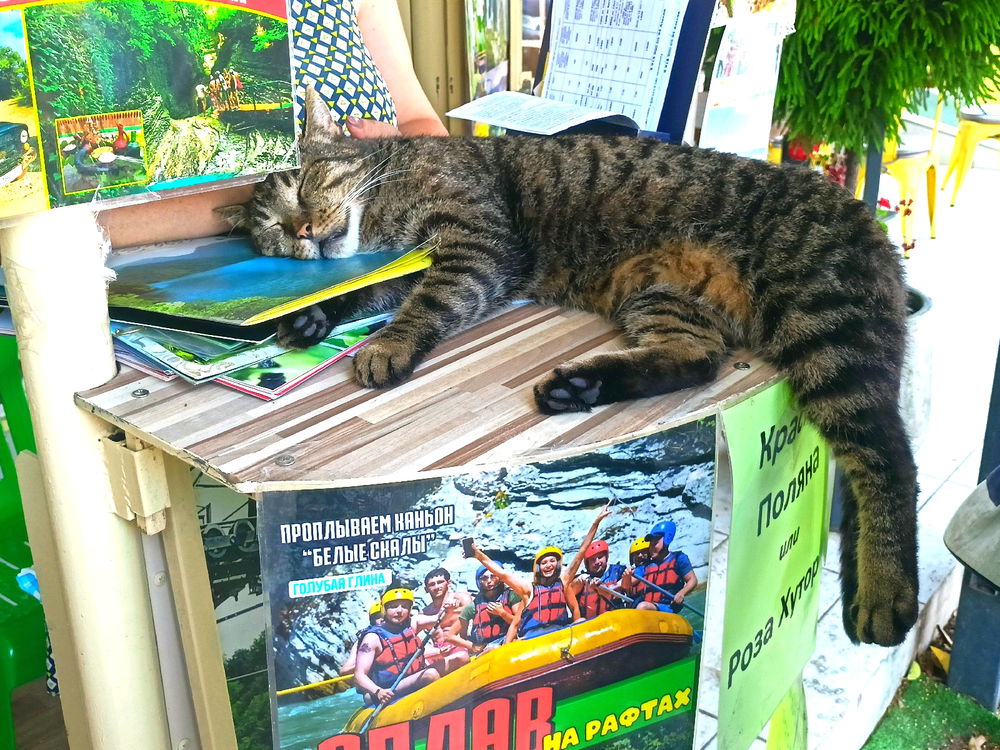 Ещё прекрасного в ленту