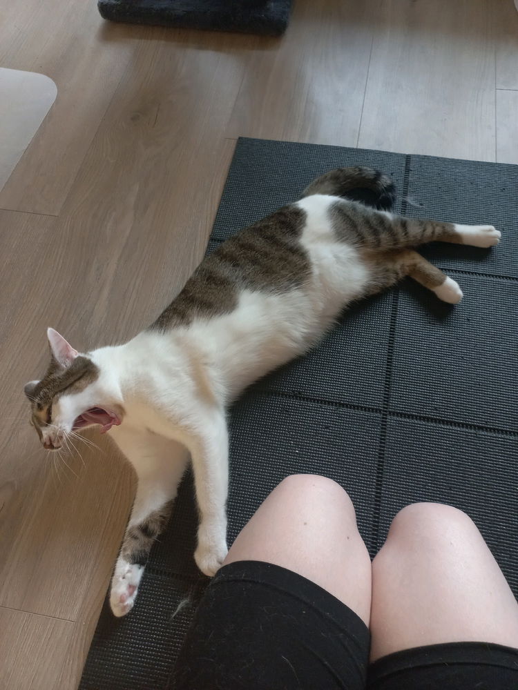 Instruktor catyogi :3