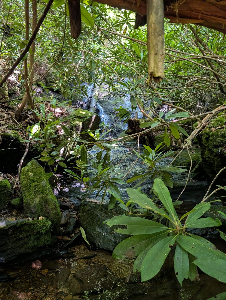 Abram's Falls
