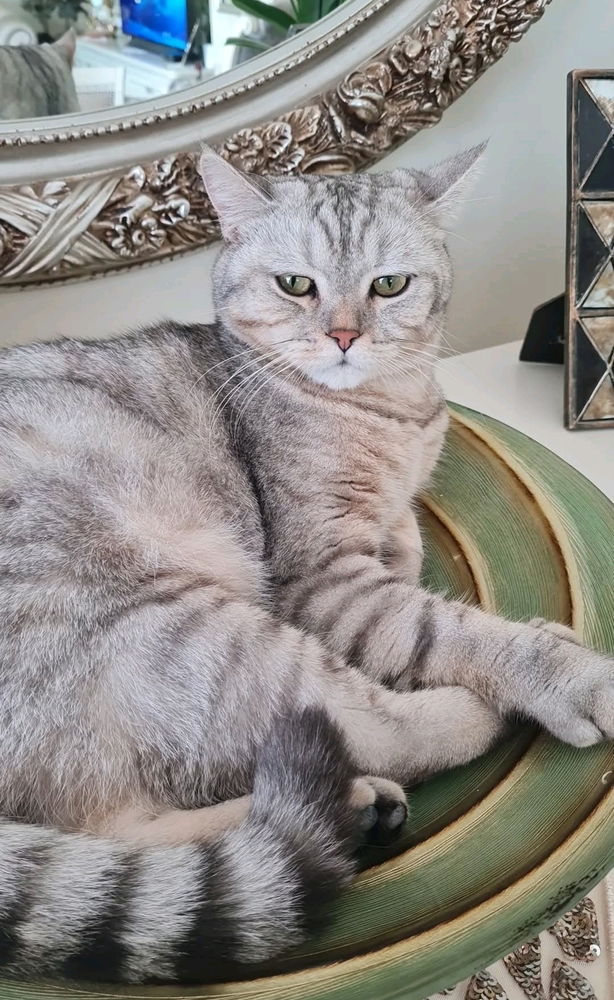 Uslu durduğu tek vakit