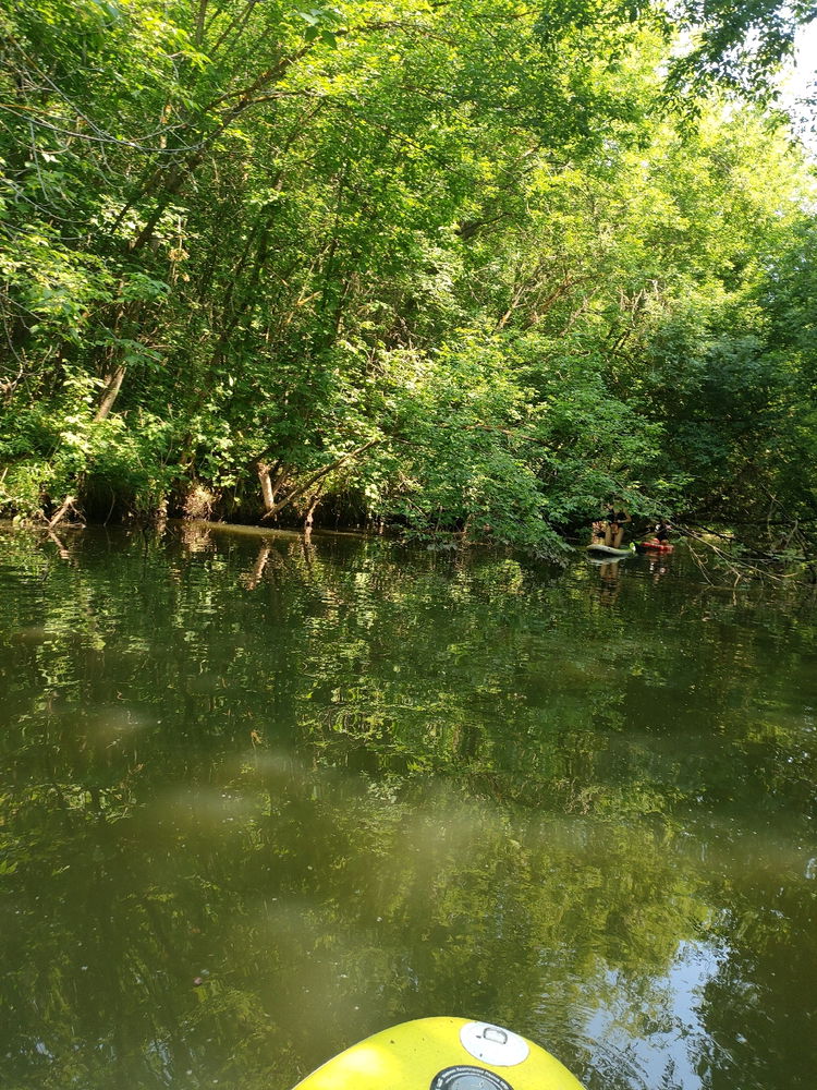 Own Amazon River