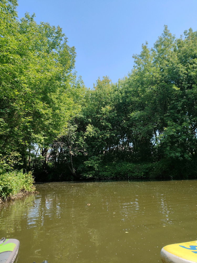 Own Amazon River