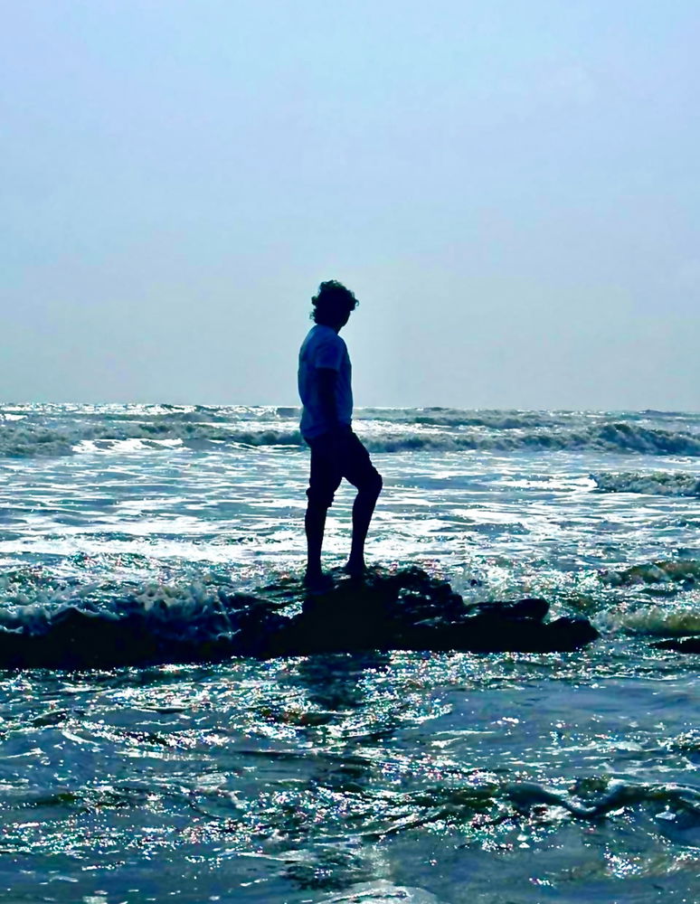 The goa vibe