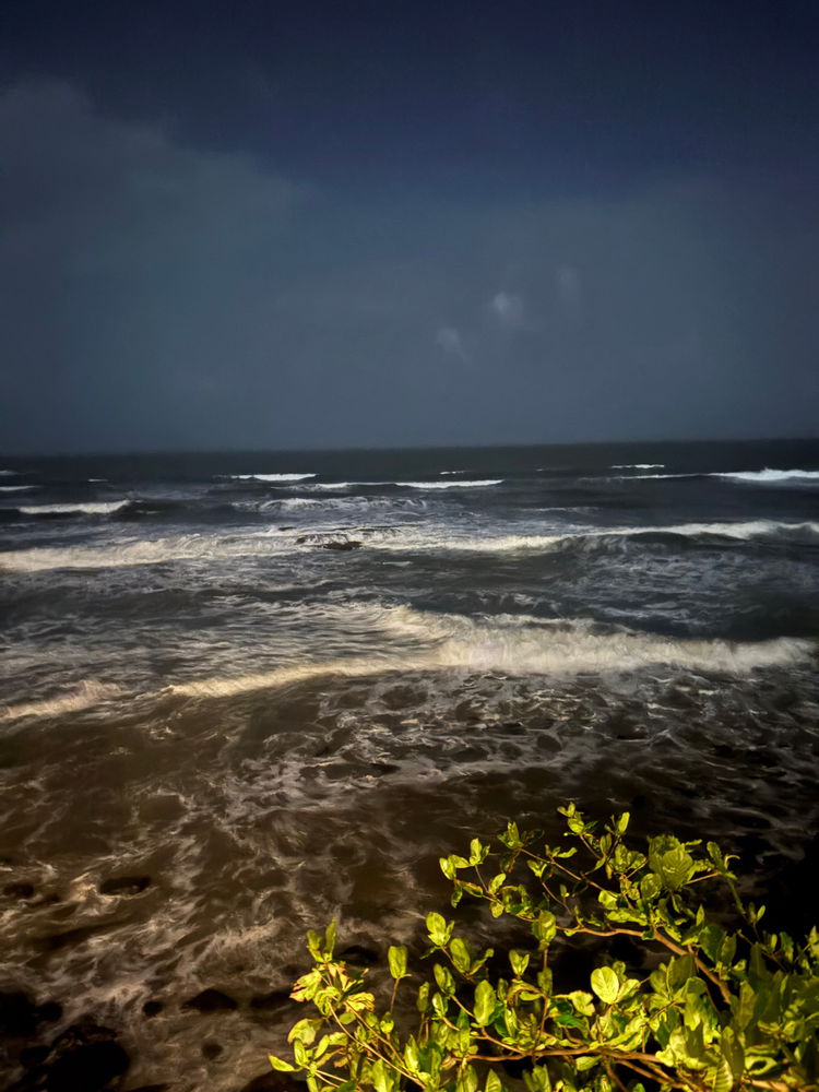 The goa vibe