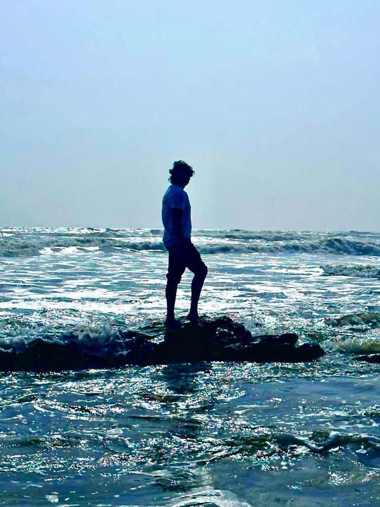 The goa vibe