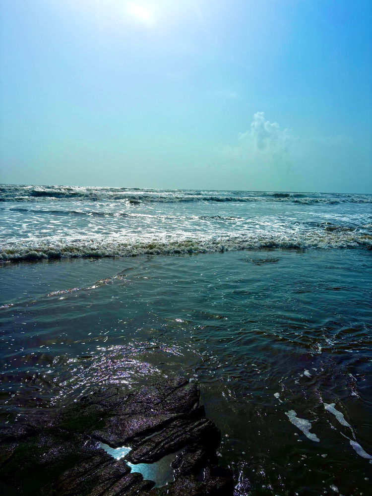 The goa vibe