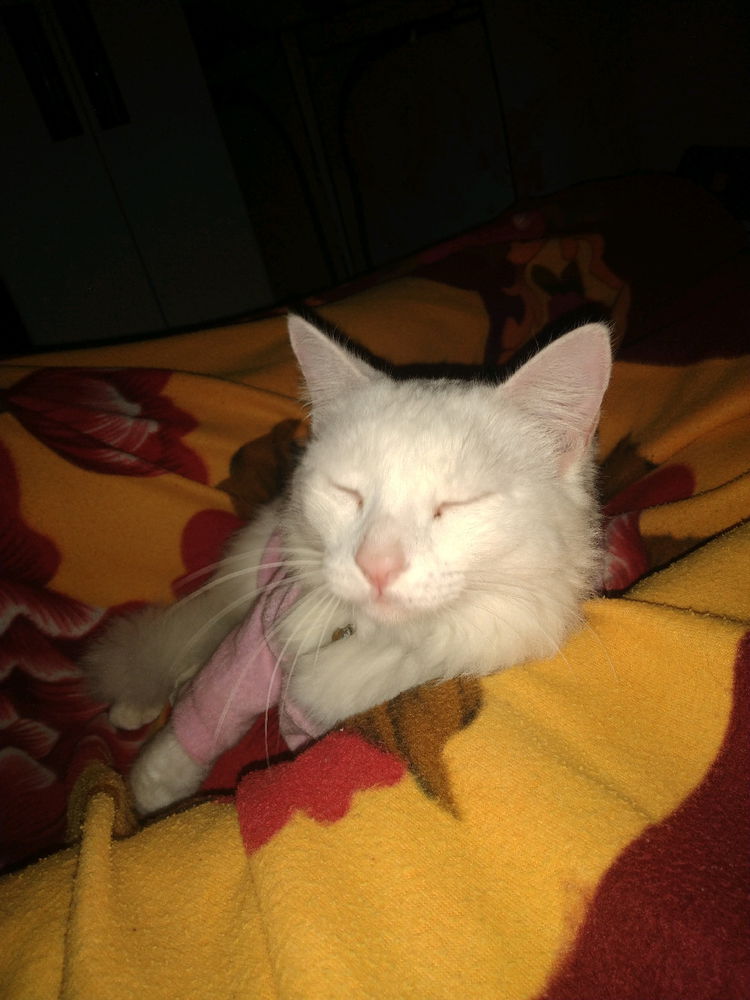 Coisa mais fofa da mamãe🥰