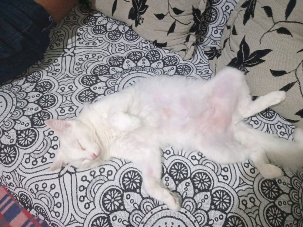 Coisa mais fofa da mamãe🥰