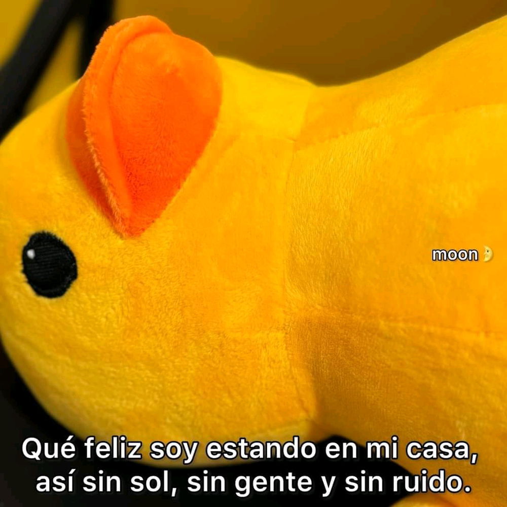Yo trabajando en casa