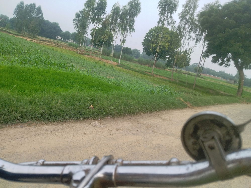 Dudh lene gya tha photo bhi leli 🎀