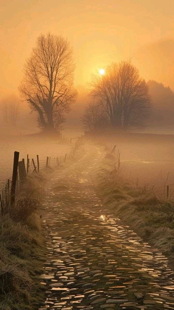 Chemins vers moi🌱