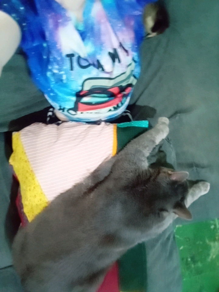 Caaaat