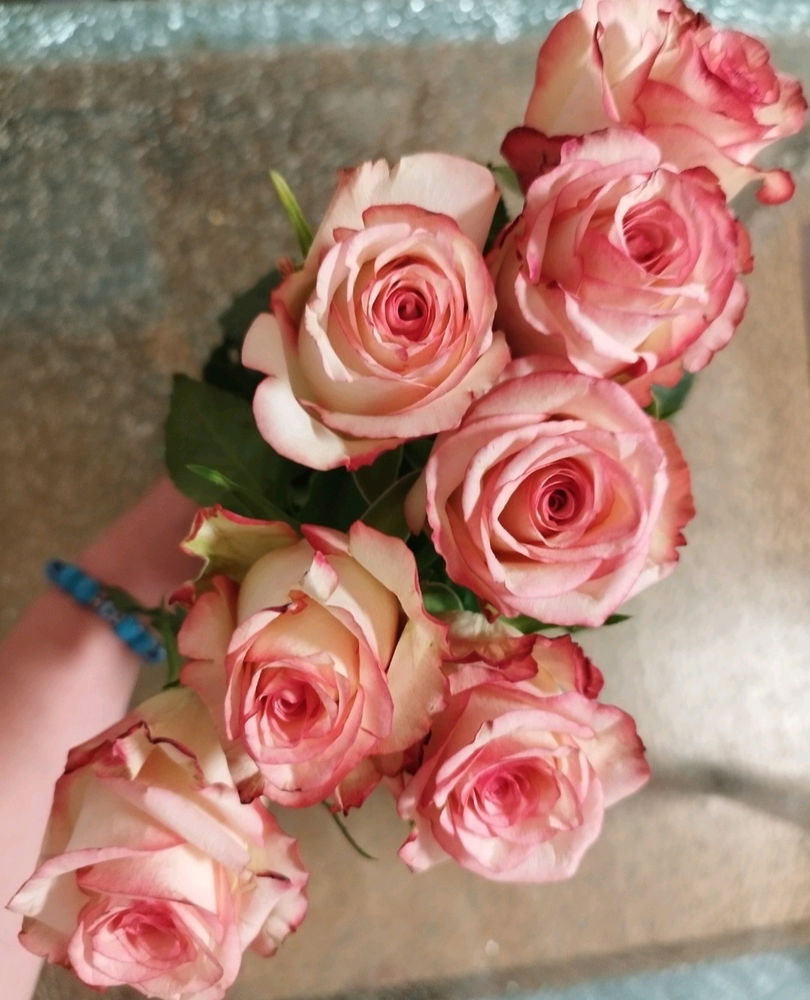 Roses