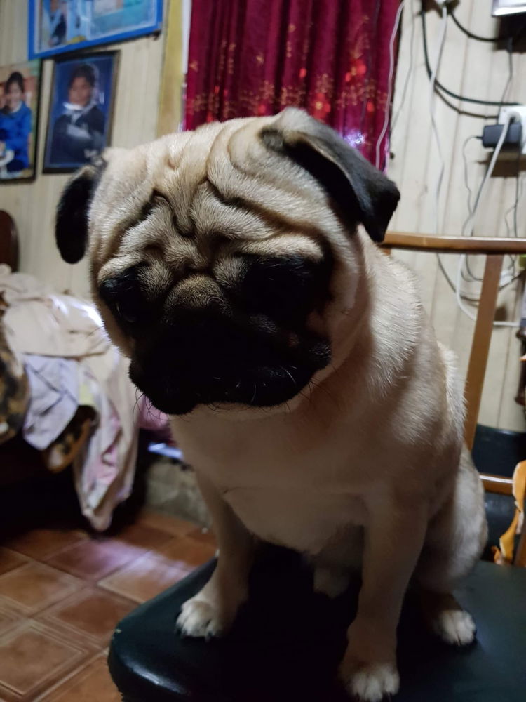 Mi gordito💞